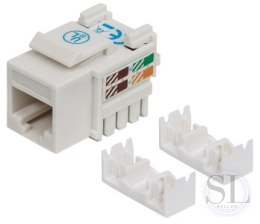 Intellinet Moduł Keystone RJ45 UTP Cat6 biały Intellinet