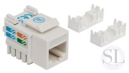 Intellinet Moduł Keystone RJ45 UTP Cat6 biały Intellinet