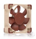 Wentylator NOCTUA 40mm 3700-4500 RPM (12 9dbA) Noctua