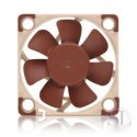 Wentylator NOCTUA 40mm 3700-4500 RPM (12 9dbA) Noctua